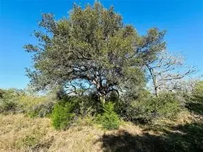 Columbus, TX 78934,1147 County Road 156