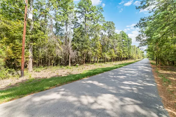 Magnolia, TX 77354,40719 Country Forest DR