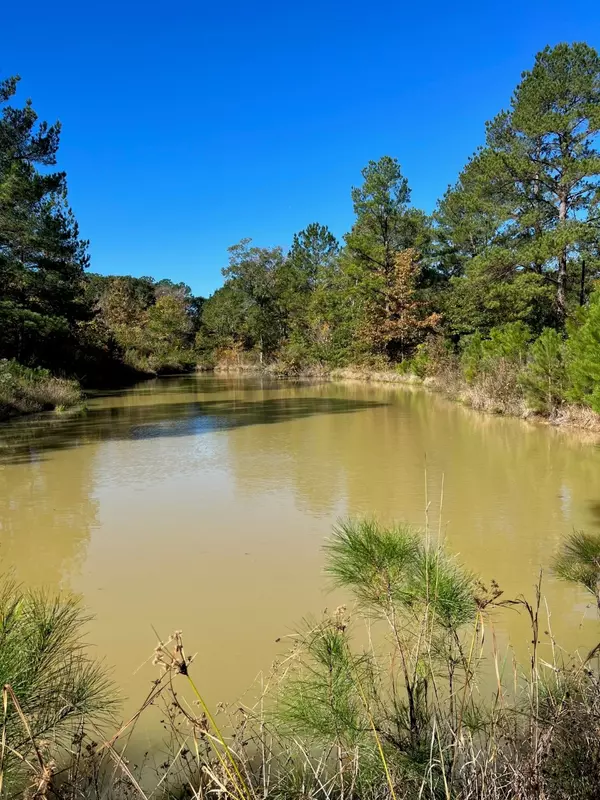 31517 Bohlssen RD, New Caney, TX 77357