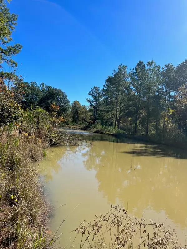 New Caney, TX 77357,31517 Bohlssen RD