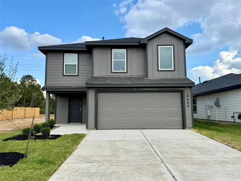 18530 Sunset Horizon DR, Hockley, TX 77447