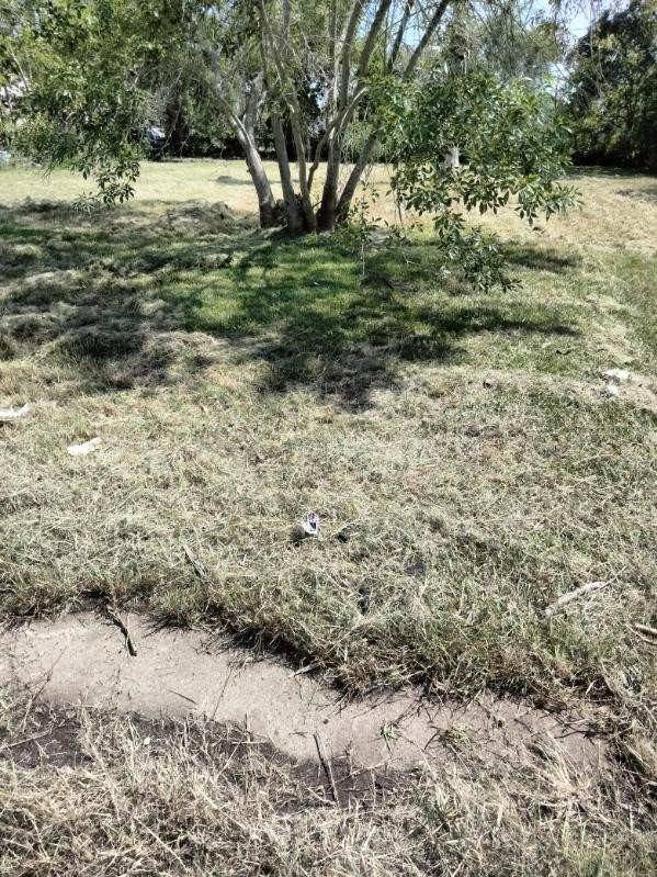 Freeport, TX 77541,615 W 5th ST