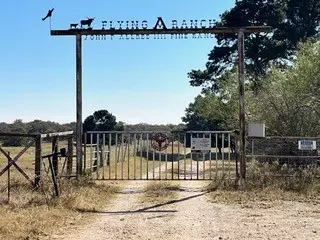 1111 Pine Ranch RD, Seguin, TX 78155