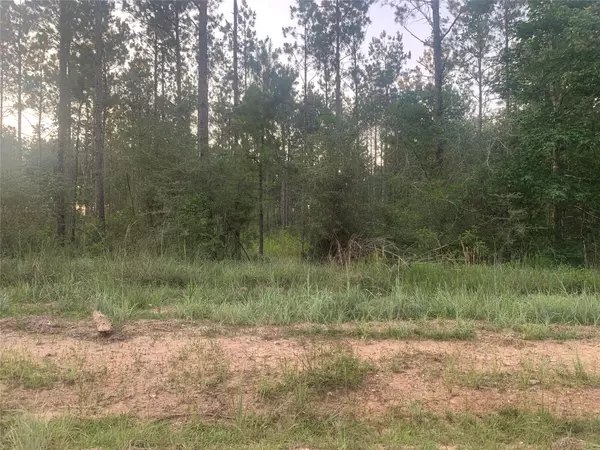 Chester, TX 75936,14343 Morrell RD