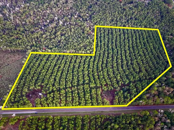 Newton, TX 75966,0 FM 1012