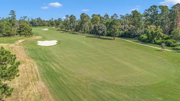 The Woodlands, TX 77382,19 Netherfield WAY