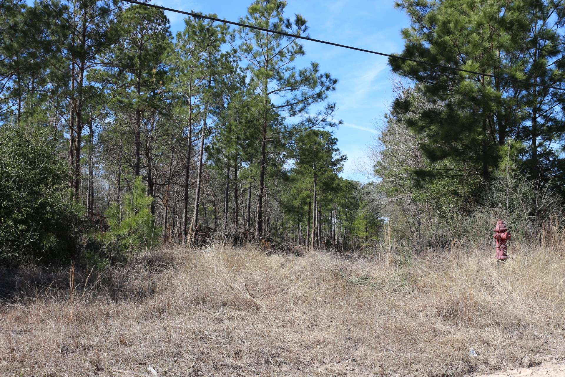 Onalaska, TX 77360,6-2 N HWY 356