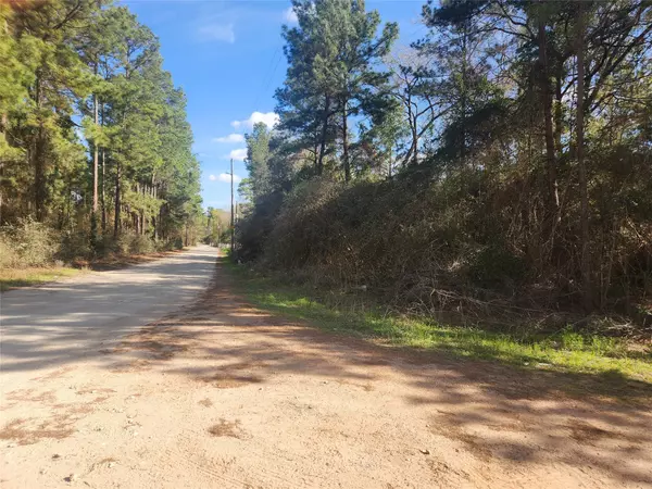 Lot 3 Live Oak DR, Plantersville, TX 77363