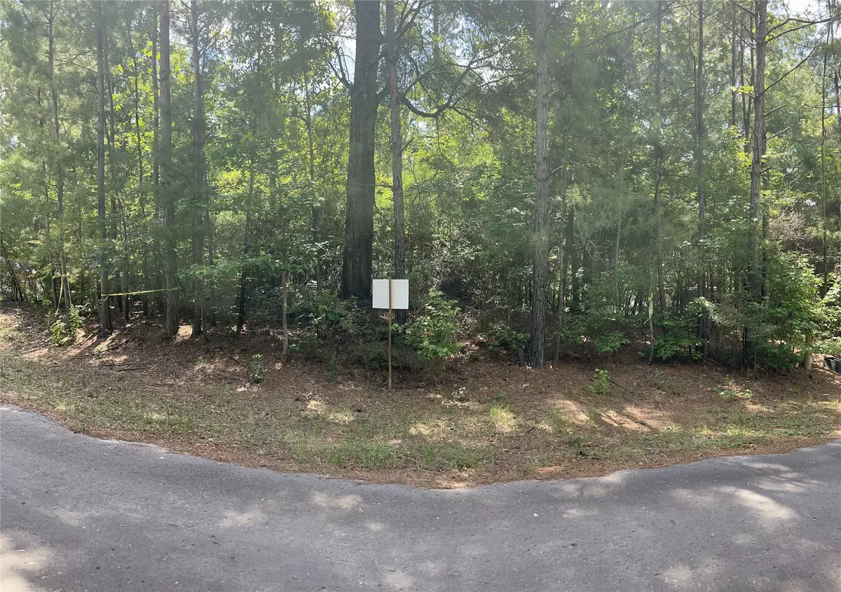 Woodville, TX 75979,TBD 14th ST