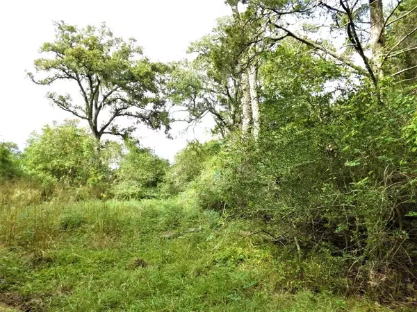 Alleyton, TX 78935,1073 Mentzwood TRL