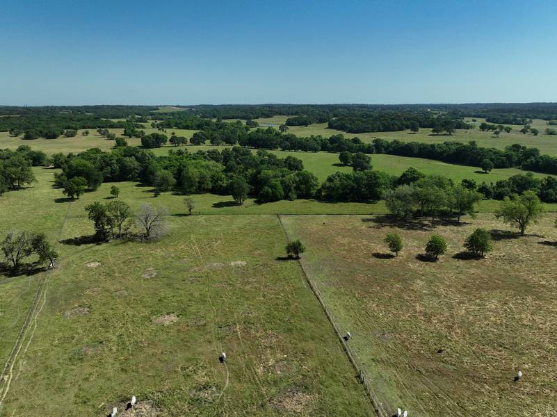 Tract #7 CR 305 RD, Navasota, TX 77868