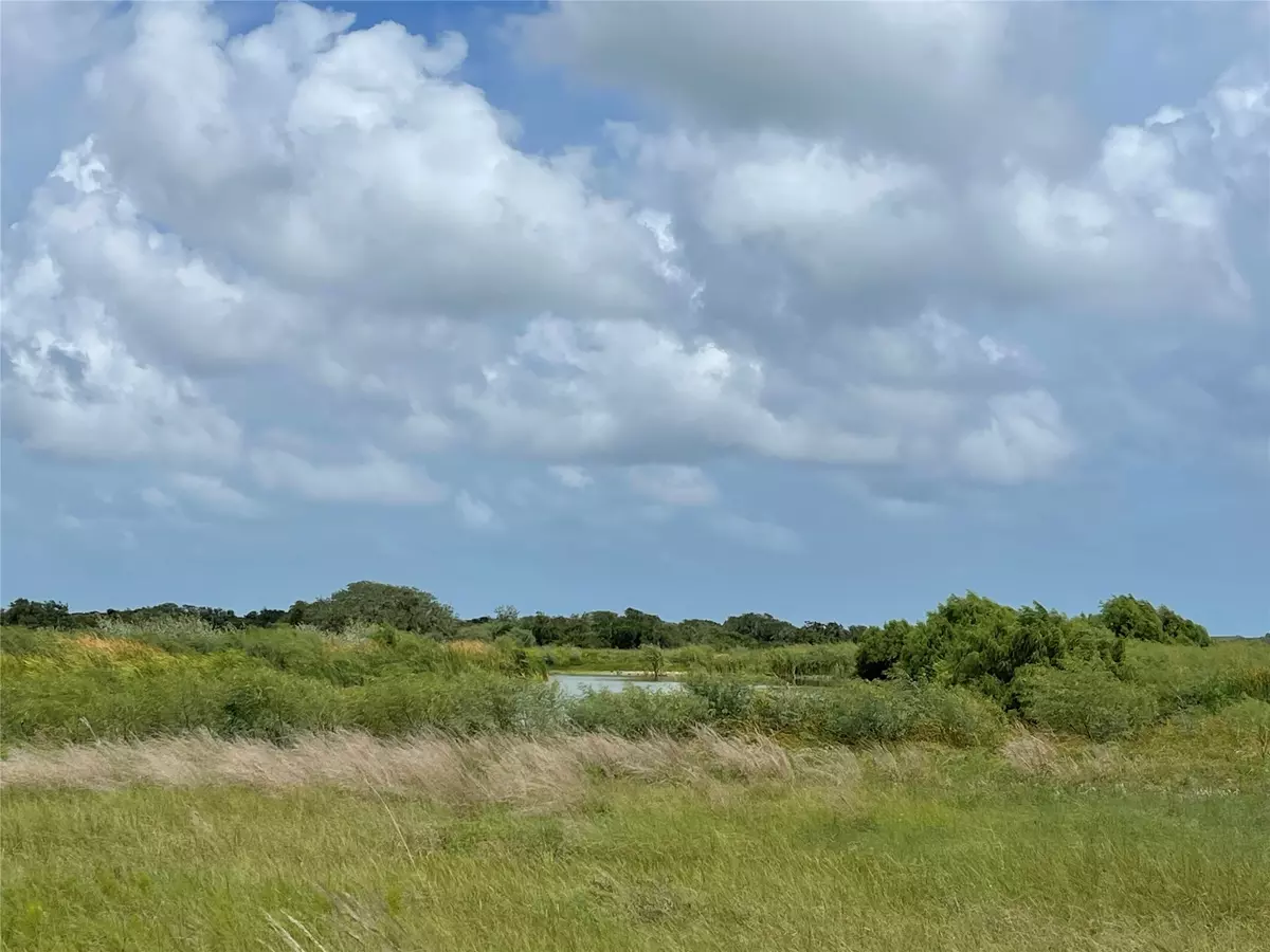 Port O Connor, TX 77982,Lot 81 E Burgundy Bay
