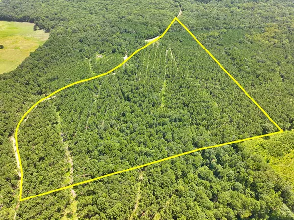 Zavalla, TX 75980,0 Slim Palmer Rd