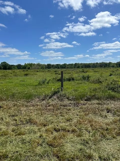 Brazoria, TX 77422,0 County Road 353
