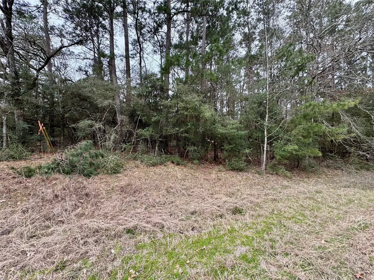 Onalaska, TX 77360,LOT 106 Whisperwood DR