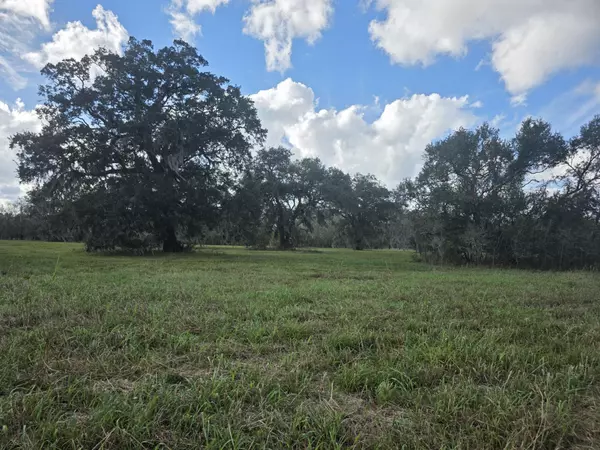 Angleton, TX 77515,340 Pony Trail