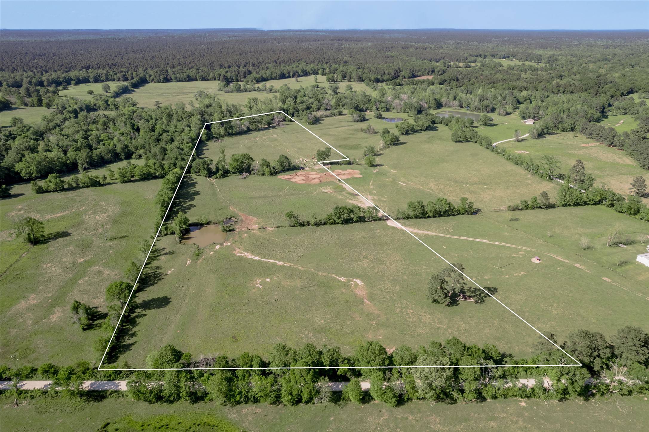 1121 County Road 4550, Pennington, TX 75856