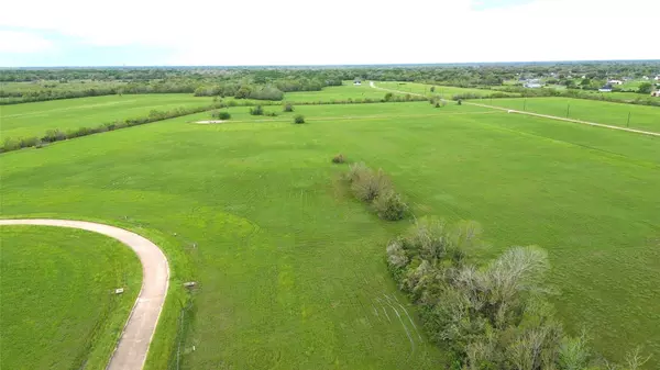Angleton, TX 77515,504 Brahman TRL