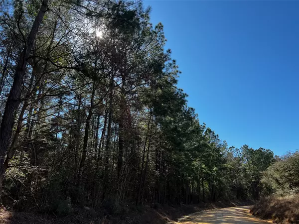 Livingston, TX 77351,0 Bracewell Cemetery Rd