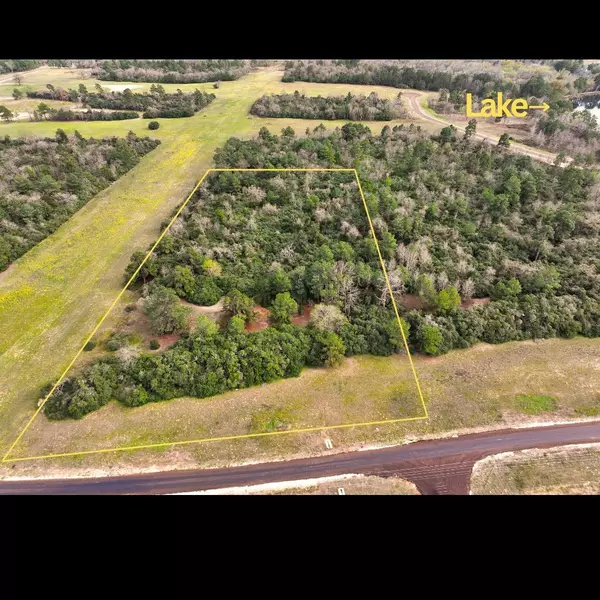Lot 98 PR 1315, Centerville, TX 75833