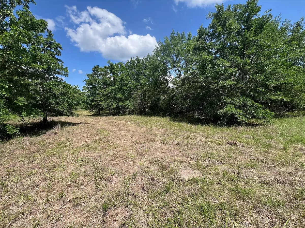 Anderson, TX 77830,Lot #5 FM 2562 and CR 218 RD