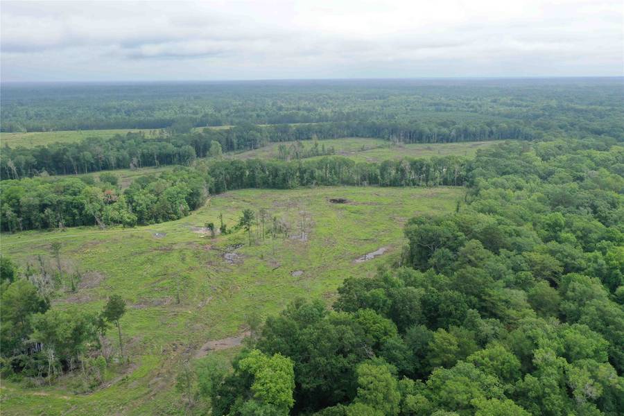 TBD CR 449- Socagee Creek RD, Carthage, TX 75633