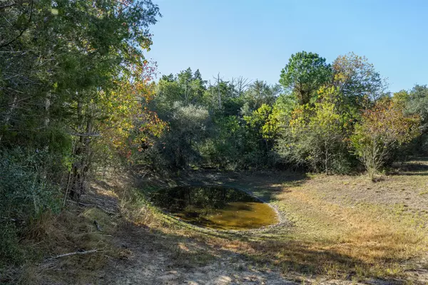 New Ulm, TX 78950,1045 Old New Ulm RD