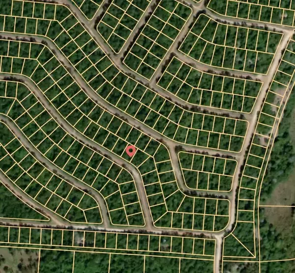 Normangee, TX 77871,Lot 48 Limestone DR