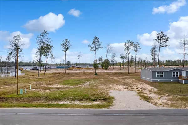 Conroe, TX 77306,12224 Truchard DR