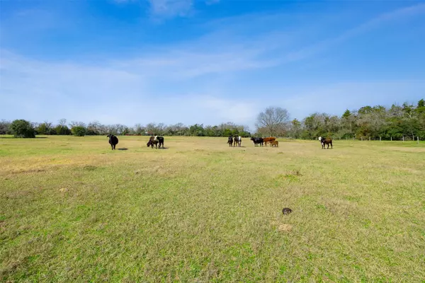 Caldwell, TX 77836,6804 County Road 126