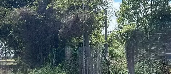 Navasota, TX 77868,2233 N La Salle ST