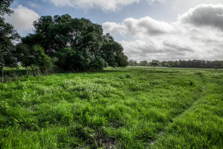 Tract 8 S Nassau RD, Round Top, TX 78954