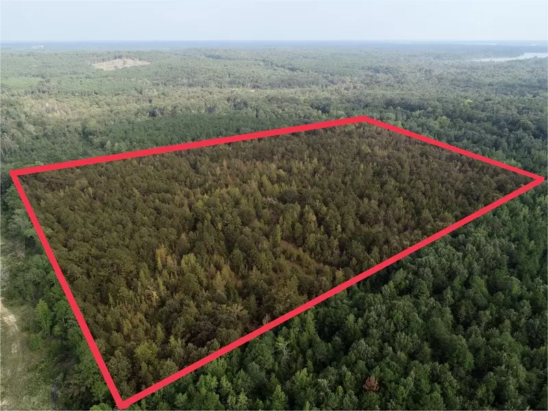 492 Doyle RD, Avinger, TX 75630