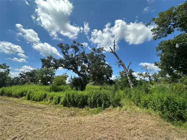 Brazoria, TX 77422,1665 County Road 310