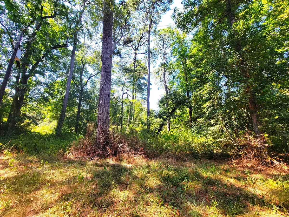 Shepherd, TX 77371,TBD Mockingbird LN