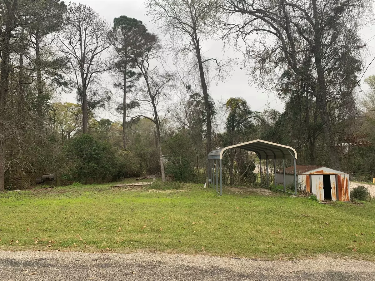 Point Blank, TX 77364,TBD Roatan DR