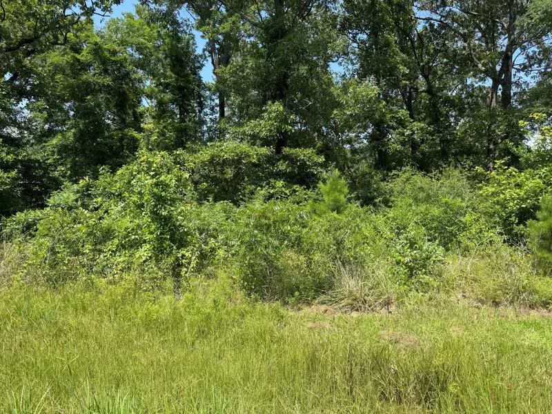 0 Willow Oak LN, Point Blank, TX 77364