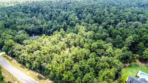 Huntsville, TX 77340,Lot 16 Texas Grand RD