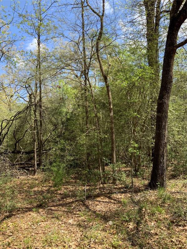 137 Foyt DR, Livingston, TX 77351