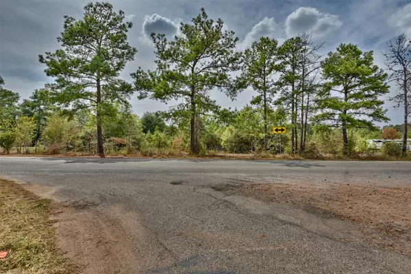 Waller, TX 77484,0000 Riley