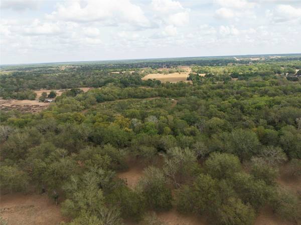 202 County Road 142b, Sublime, TX 77986