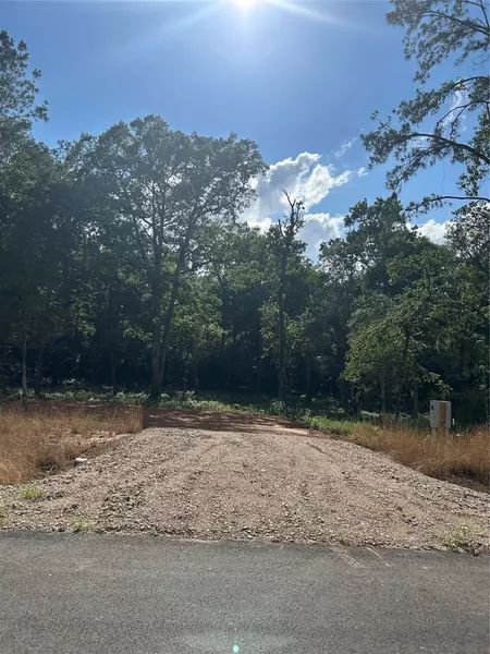 11351 Annie Creek Drive, Willis, TX 77378