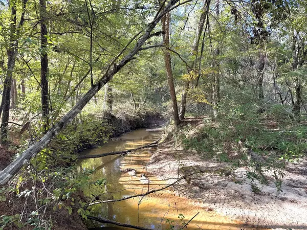 Woodville, TX 75979,2080 County Road 1100