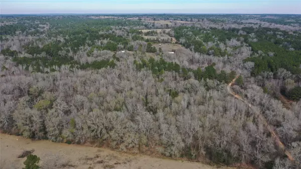 TBD Lot 4 County Road 2240, Grapeland, TX 75844