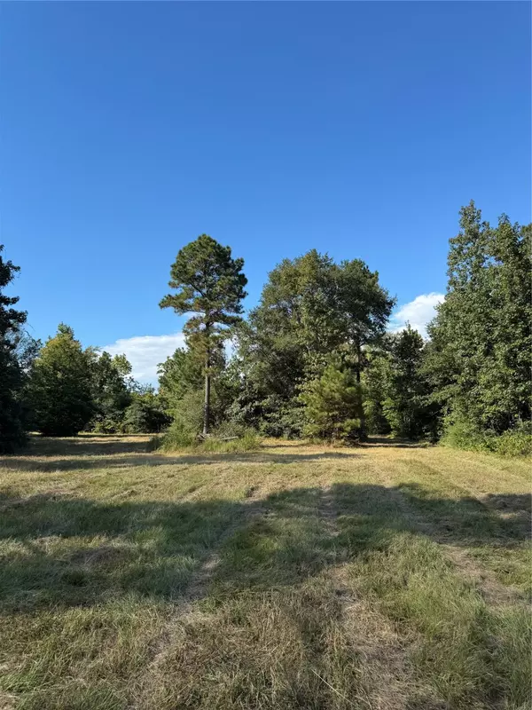 Coldspring, TX 77331,200 Spring Ridge Rd RD