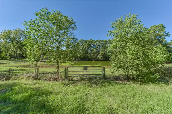 140 Little Road LOOP, New Waverly, TX 77358