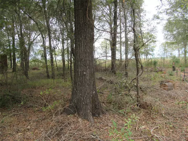 Livingston, TX 77351,TBD Vine Arbor