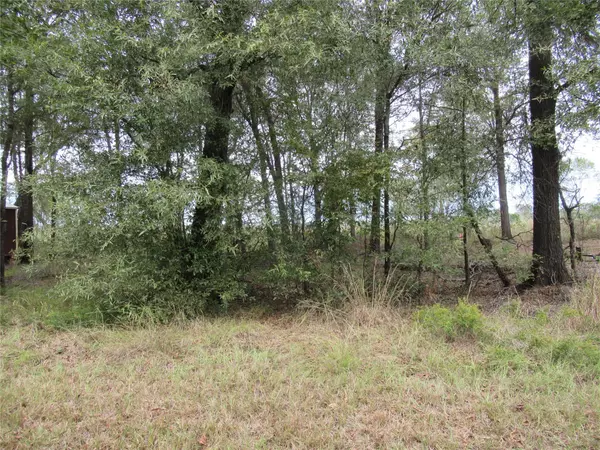 Livingston, TX 77351,TBD Vine Arbor