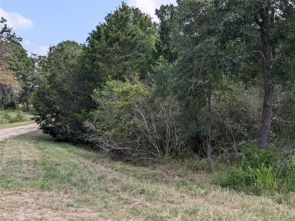 Somerville, TX 77879,TBD Bengals Bend Lot 313