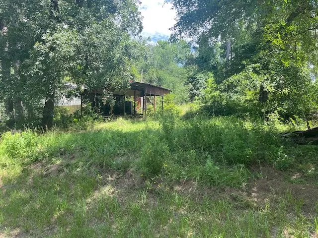 238 Knotty Oak, Livingston, TX 77351